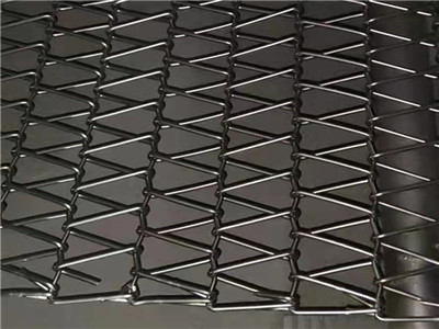 雙旋網(wǎng)帶圖片1